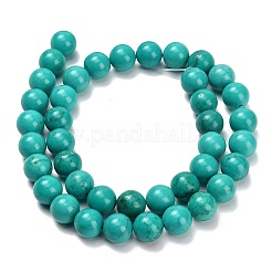 Natural Howlite Beads Strands&nbsp;G-Z149-A01-10mm