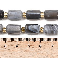 Natural Botswana Agate Beads Strands&nbsp;G-P611-A01-01
