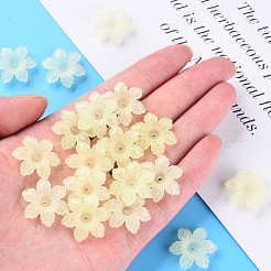 Transparent Acrylic Beads&nbsp;MACR-S373-117-D03