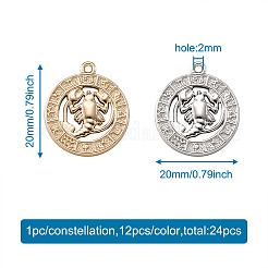 2 Sets 2 Colors Zinc Alloy Jewelry Pendant Accessories&nbsp;FIND-FW0001-06
