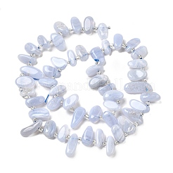 Natural Blue Lace Agate Spike Slice Beads Strands&nbsp;G-NH0046-B01-01