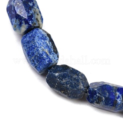 Natural Lapis Lazuli Beads Strands&nbsp;G-F796-C01-01
