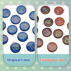 12Pcs 12 Constellations Epoxy Resin Pendants&nbsp;FIND-TAC0027-38