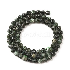 Natural Seraphinite Beads Strands&nbsp;G-K376-A02-5mm