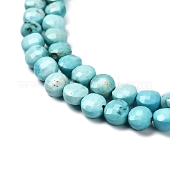 Natural Howlite Beads Strands&nbsp;G-C179-A6mm-27