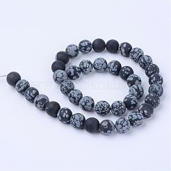 Natural Snowflake Obsidian Beads Strands&nbsp;G-Q462-8mm-10