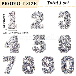 10Pcs Glitter Iron on/Sew On Patches&nbsp;PATC-GF0001-78B