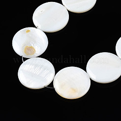 Natural Freshwater Shell Beads Strands&nbsp;X-SHEL-Q024-006