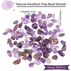 Natural Amethyst Chip Beads&nbsp;G-SC0001-21
