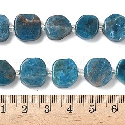 Natural Apatite Beads Strands&nbsp;G-I394-D20