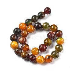 Natural Multi-Color Agate Beads Strands&nbsp;G-A261-B05-14mm