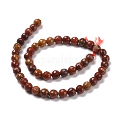 Natural Carnelian Beads Strands&nbsp;G-E571-10B