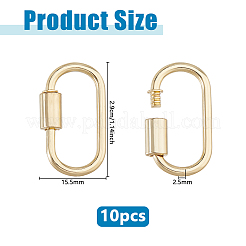 10Pcs Alloy Screw Carabiner Lock Charms&nbsp;FIND-DC0008-32G