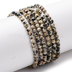 Natural Dalmatian Jasper Beads Strands&nbsp;LS-G-Z116-A10-3mm