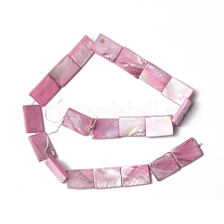 Natural Freshwater Shell Beads Strands&nbsp;SHEL-C003-04