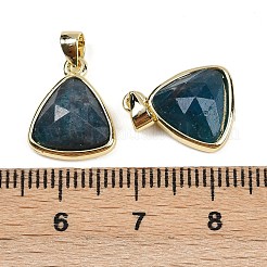 Natural Apatite Pendants&nbsp;G-O176L-10G
