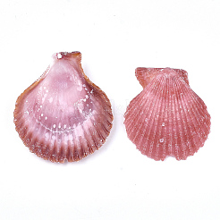 Sea Shell Beads&nbsp;SSHEL-S258-35