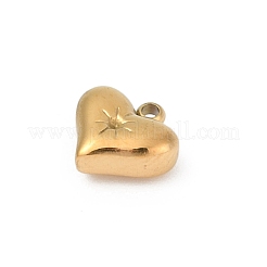 304 Stainless Steel Pendants&nbsp;STAS-L283-23G