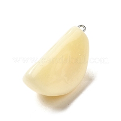 Opaque Resin Pendants&nbsp;FIND-I044-16B