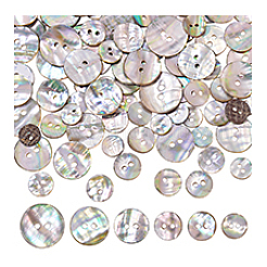 96Pcs 6 Styles Natural Shell Buttons&nbsp;BUTT-PH0001-45