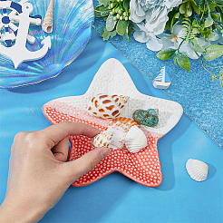 Ceramic Jewelry Plates&nbsp;AJEW-WH0455-016A-01