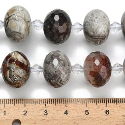Natural Mexican Agate Beads Strands&nbsp;G-L642-I11-18x13mm