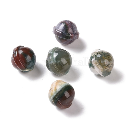 Natural Indian Agate Display Decorations G-G861-01P-1