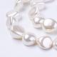 Shell Pearl Beads Strands&nbsp;BSHE-L035-F01-1
