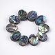 Abalone Shell/Paua Shell Beads&nbsp;SSHEL-T008-04-1