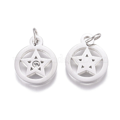 316 Surgical Stainless Steel Charms&nbsp;STAS-L242-04P