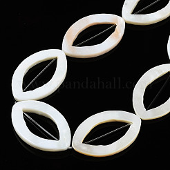 Natural Freshwater Shell Beads Strands&nbsp;SHEL-N026-172
