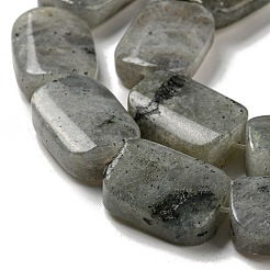 Natural Labradorite Beads Strands&nbsp;G-M420-M02-02