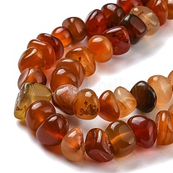 Natural Agate Beads Strands&nbsp;G-C039-F02