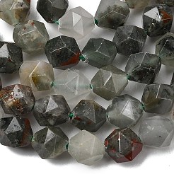Natural African Bloodstone Beads Strands&nbsp;G-Z119-A28-02