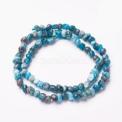 Natural Apatite Beads Strands&nbsp;G-F506-12