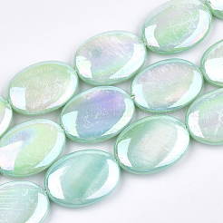 Freshwater Shell Beads Strands&nbsp;SSHEL-T007-18