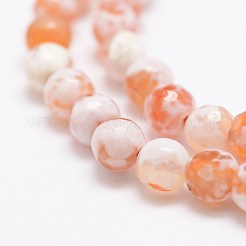 Faceted Natural Fire Crackle Agate Beads Strands&nbsp;X-G-F447-6mm-B03