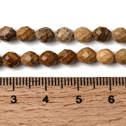 Natural Picture Jasper Beads Strands&nbsp;G-K376-F10-01