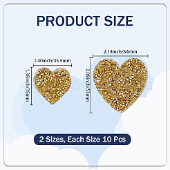 20Pcs 2 Styles Glitter Resin Hotfix Rhinestone&nbsp;DIY-CY0002-36A