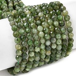 Natural Green Jasper Beads Strands&nbsp;G-RM250101-C10