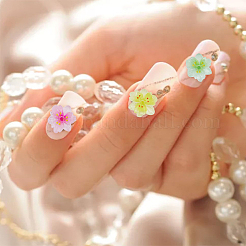 100Pcs Resin Sakura Cabochons&nbsp;MRMJ-ME0001-07