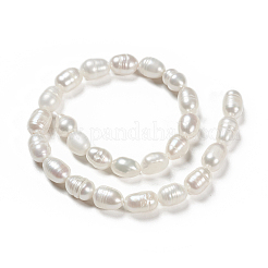 Natural Cultured Freshwater Pearl Beads Strands&nbsp;X-PEAR-N012-05G