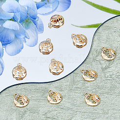 10Pcs Brass Pendants&nbsp;FIND-DC0006-34