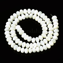 Natural Trochid Shell/Trochus Shell Beads Strands&nbsp;SSHEL-N032-159