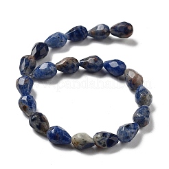 Natural Sodalite Beads Strands&nbsp;G-P520-B23-01