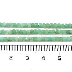 Natural Chrysoprase Beads Strands&nbsp;G-B088-E19-02