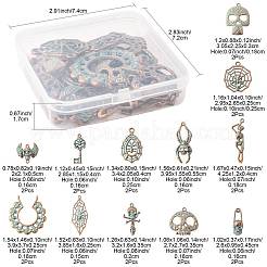 Alloy Pendants&nbsp;FIND-FS0004-77