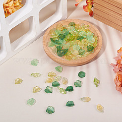 100Pcs 5 Styles Glass and Gold Foil Pendants&nbsp;GLAA-TA0004-01