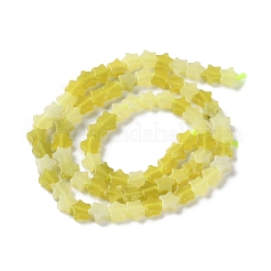 Natural Lemon Jade Beads Strands&nbsp;G-G085-B58-02