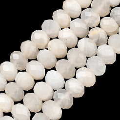 Natural White Moonstone Beads Strands&nbsp;G-C259-A42-5x8mm